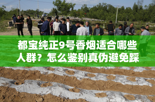 都宝纯正9号香烟适合哪些人群？怎么鉴别真伪避免踩坑？